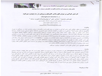 معصومه قهرمانی، علی عبادی و سدابه جهانبخش گده کهریز" اثر تنش کم آبی بر میزان فلورسانس کلروفیل و پرولین در سه ژنوتیپ سورگوم" 