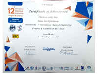 Sh. Z. Qale’h jooqi, A. Nematollahzadeh, Z. Vaseghi, M. SafajouJahankhanemlou, Microplastics an ever harmful pollutant or an available and cheap adsorbent?, The 12th International Chemical Engineering Congress  and  Exhibition (IChEC 2023), 